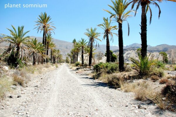 Visited a film location of Exodus Gods and Kings in Almeria, Spain.