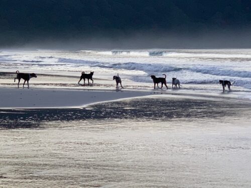 Andaman Islands, Havelock, Radhanagar