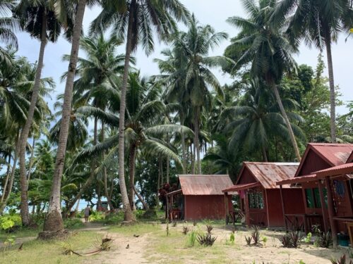 Andaman Islands, Havelock, Vijay nagar