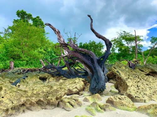 The fall, film location, India, Andaman, Havelock Island