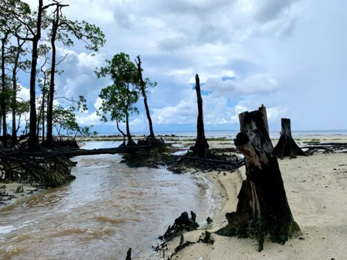 The fall, film location, India, Andaman, Havelock Island