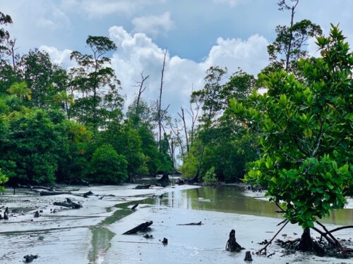 The fall, film location, India, Andaman, Havelock Island