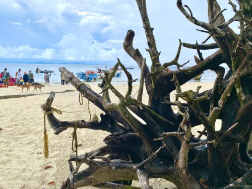 The fall, film location, India, Andaman, Havelock Island