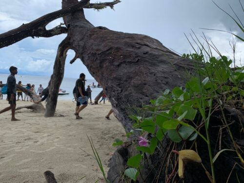 The fall, film location, India, Andaman, Havelock Island