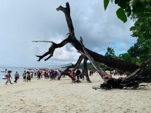 The fall, film location, India, Andaman, Havelock Island