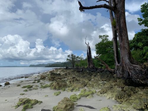 The fall, film location, India, Andaman, Havelock Island