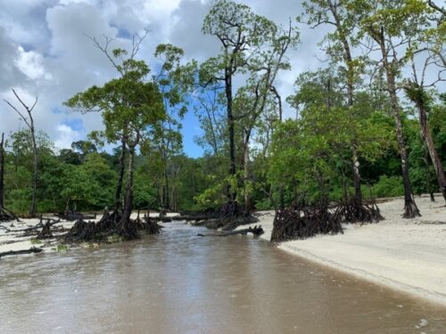 The fall, film location, India, Andaman, Havelock Island