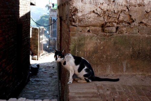 Bhaktapur, Nepal.