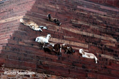 The fall, film location, India, Fatehpur Sikri