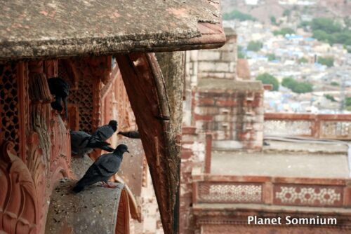 Film location of The fall in Jodhpur, India