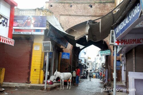 Agra, visited as the film location of "Tevar".