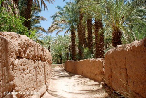 Film location of Sheltering Sky place in Morocco 