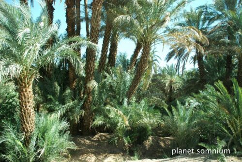 Film location of Sheltering Sky place in Morocco 