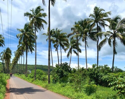 Seeking "Pocolim" village of a movie "Finding Fanny in Goa.