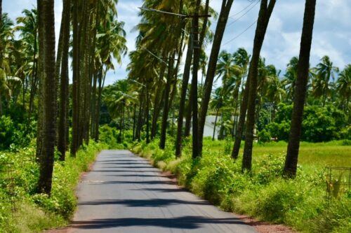 Seeking "Pocolim" village of a movie "Finding Fanny in Goa.