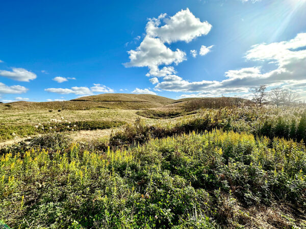 Japan's largest karst plateau, Akiyoshidai in Yamaguchi