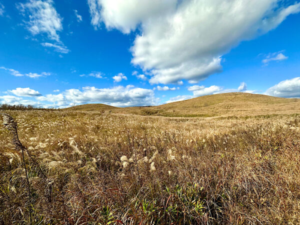 Japan's largest karst plateau, Akiyoshidai in Yamaguchi