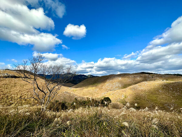 Japan's largest karst plateau, Akiyoshidai in Yamaguchi