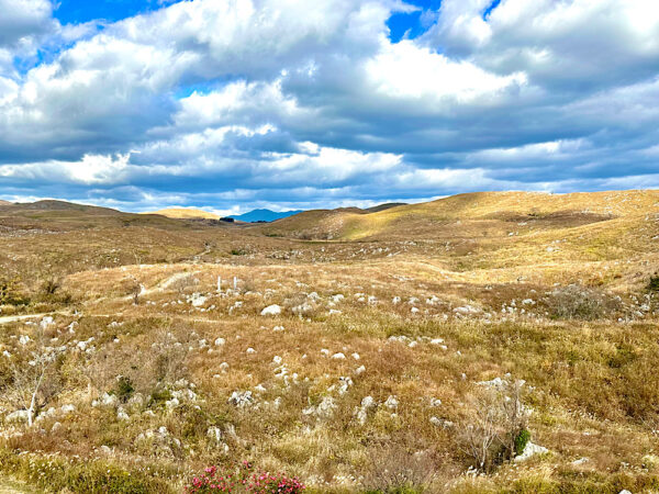 Japan's largest karst plateau, Akiyoshidai in Yamaguchi